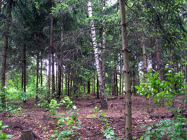 Caresta...penuria e tempi duri.....